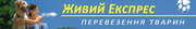 Транспорт животных по Украине и за границу