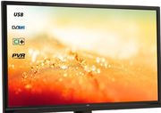 LCD VES315WNES-02-B (от телевизора Ergo LE32T2 Black) матрица